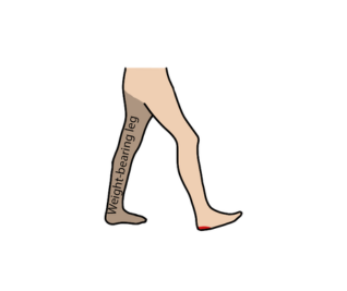  Foot most often lands with heel strike