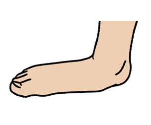 Pronation